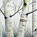 Birch Trees in the Forest in watercolor